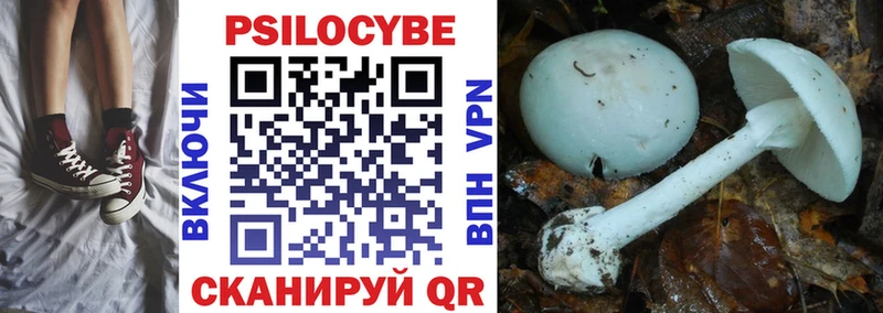 Галлюциногенные грибы MAGIC MUSHROOMS Торжок