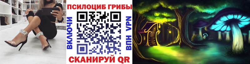Галлюциногенные грибы ЛСД Торжок
